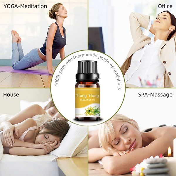 10ml ប្រេងធម្មជាតិ Ylang Ylang រាវលឿងស្រាល (3)