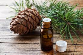 Uses and Benefits of Cedar Oil | Fragrance Facts | Parks London