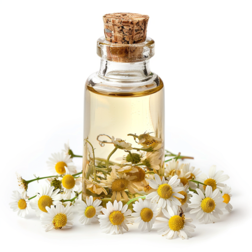 Chamomile essential oil 1
