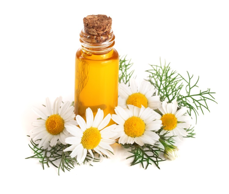 Chamomile essential oil 3