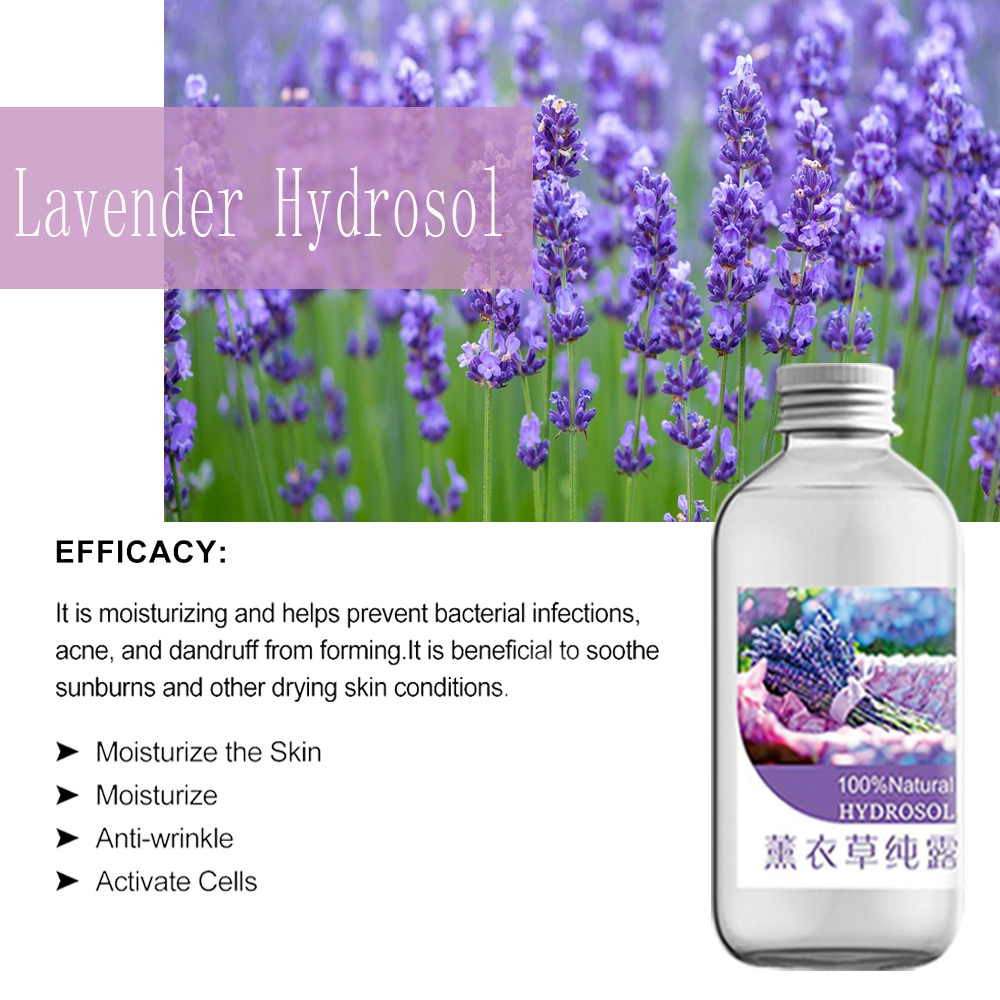 Териге кам көрүү каражаттары үчүн косметикалык класстагы Lavender Hydrosol (4)