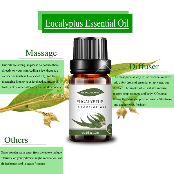 Eucalyptus Essential Oil Factory Wholesale for Aromatherapy Beauty Spa (3)