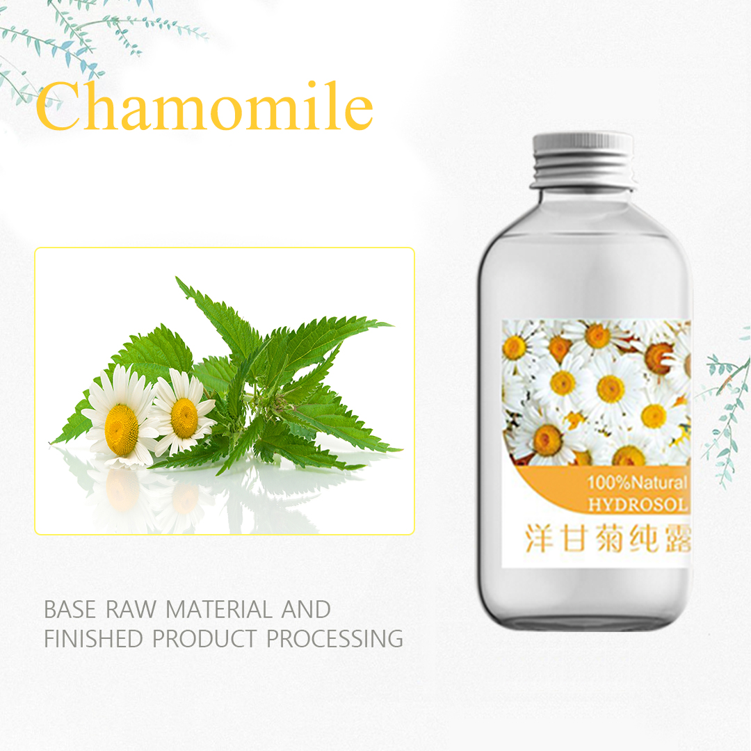 Hydrating moisturizing whitening Chamomile Hydrosol chirimwa chinotorwa (2)