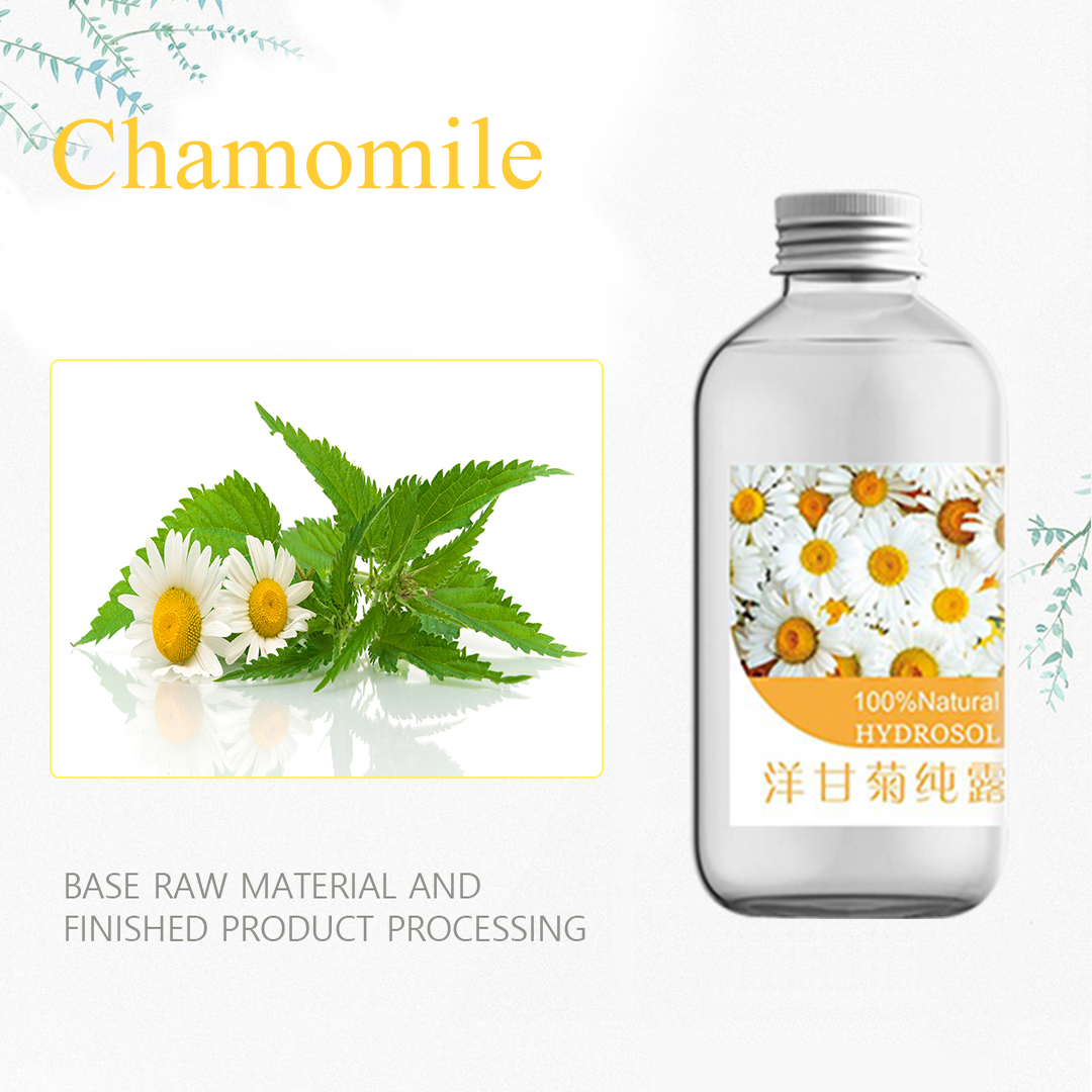 Ruwan shayar da ruwa mai ruwa da ruwa Chamomile Hydrosol cirewar shuka (2)