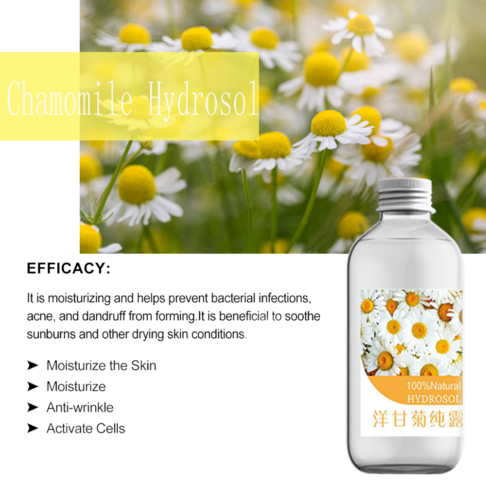 Hydrating moisturizing whitening Chamomile Hydrosol tanom nga kinuha (4)