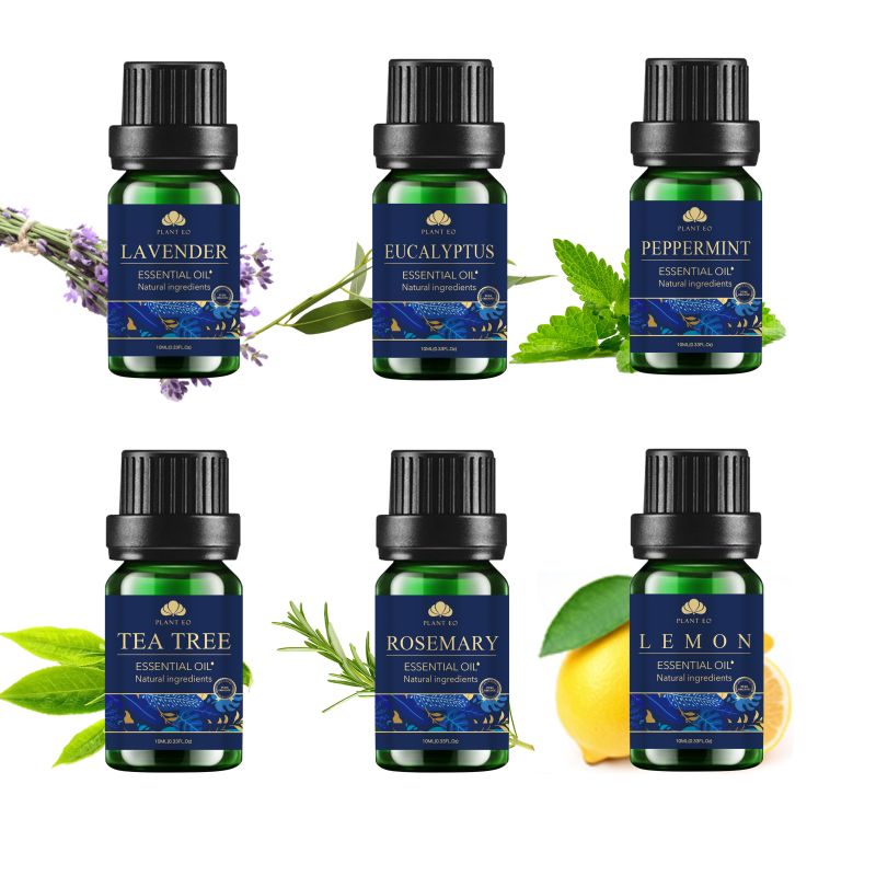 OEM ODM new design essential oil set lemon essential oil (2)