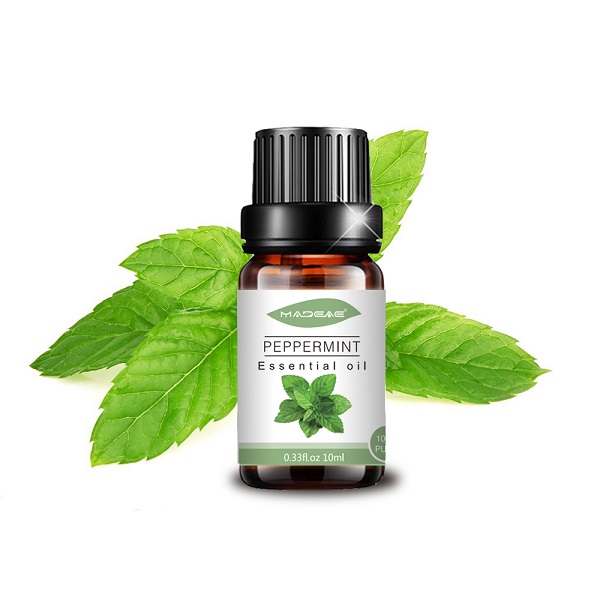 Peppermint essential oil information (1)