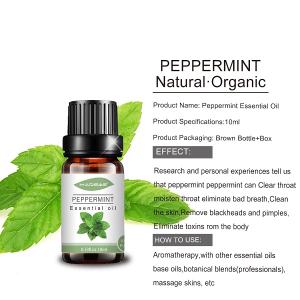 Peppermint essential oil information (2)
