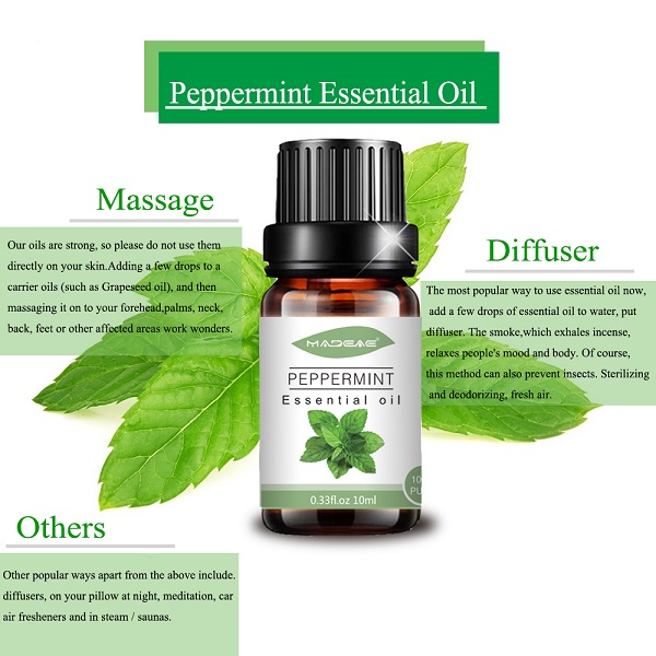 Peppermint essential oil information (4)