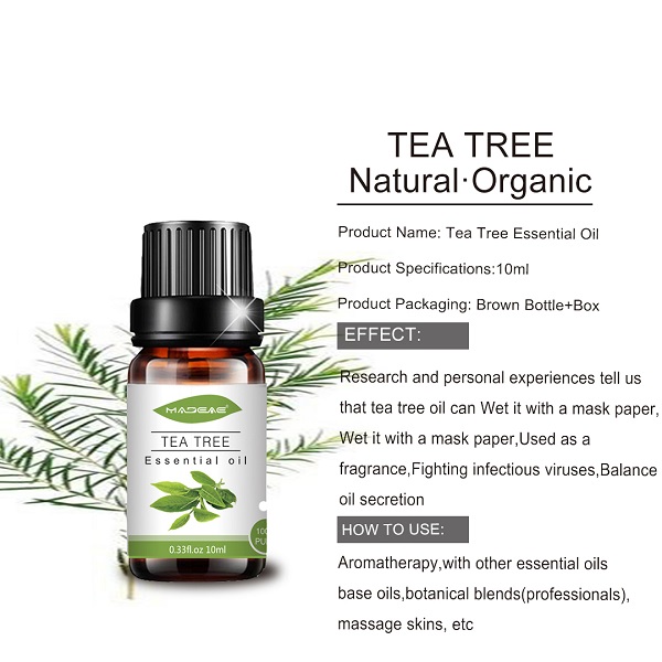 Private label top grade Tea tree essential oil paglago ng buhok (3)