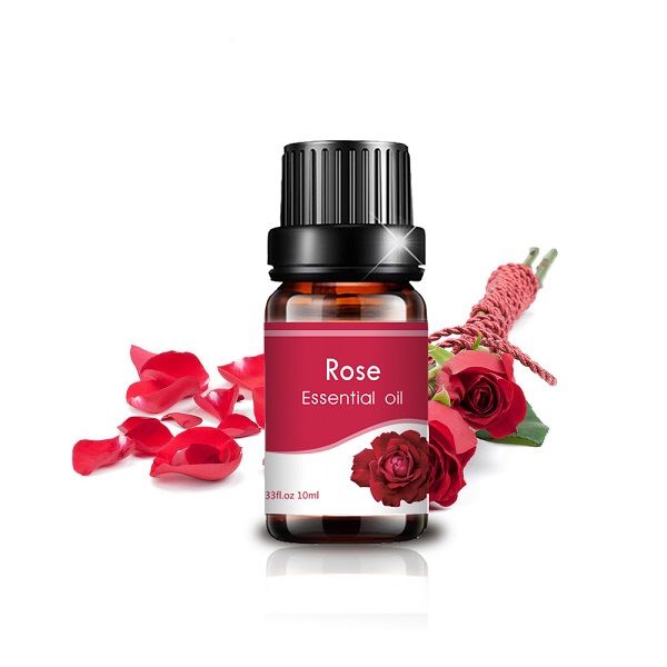 queen of essential oils rose oil hot selling (1)