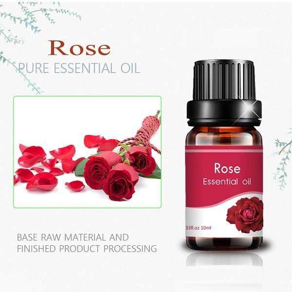 queen of essential oils rose oil hot selling (2)