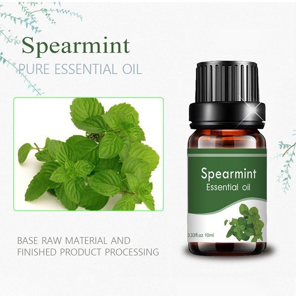 oliu di menta verde cù l'odore frescu purifica l'aria (2)
