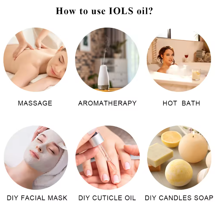 微信图片_20240228092622