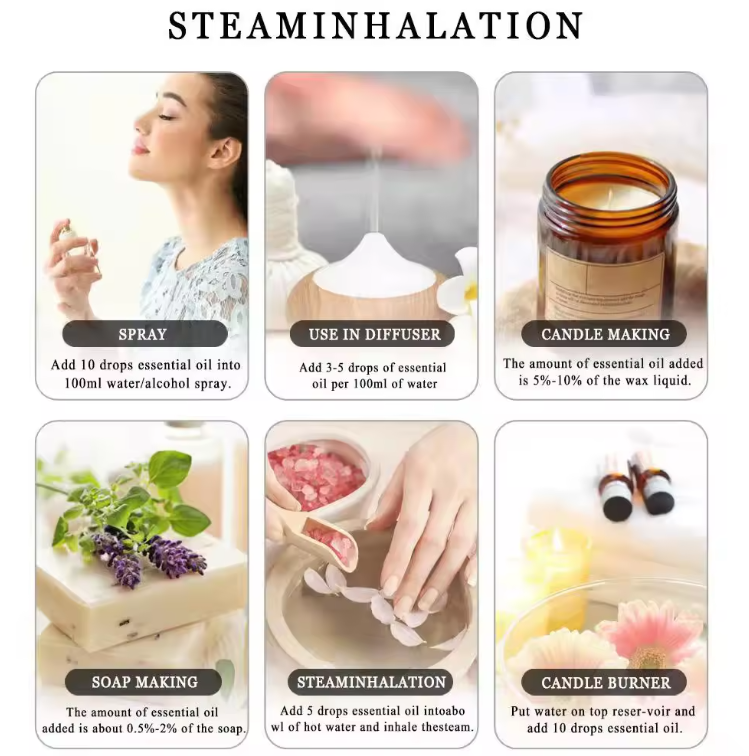 微信图片_20240228092627